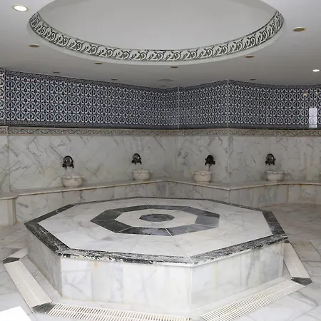 Otel Lidya Sardes Thermal & Salihli